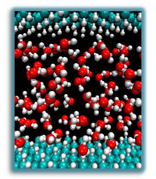 hydrophobic substrates